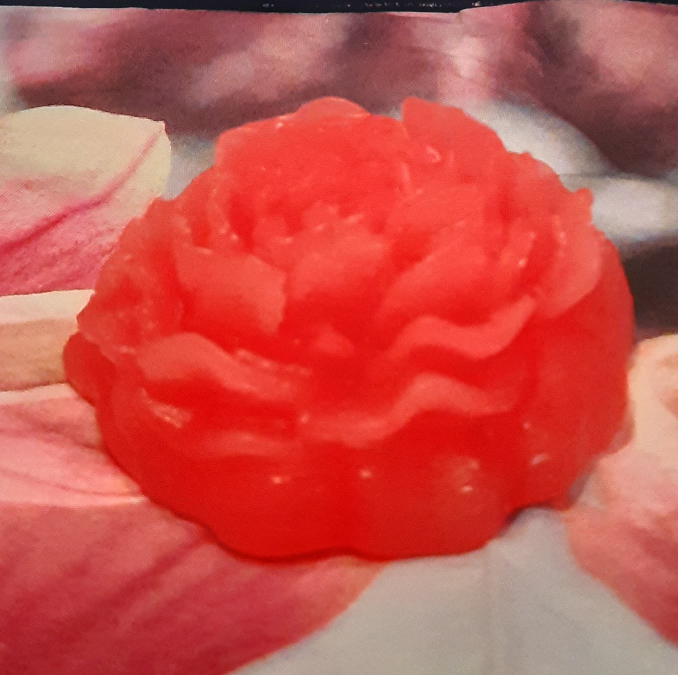 Kerzen Rose
