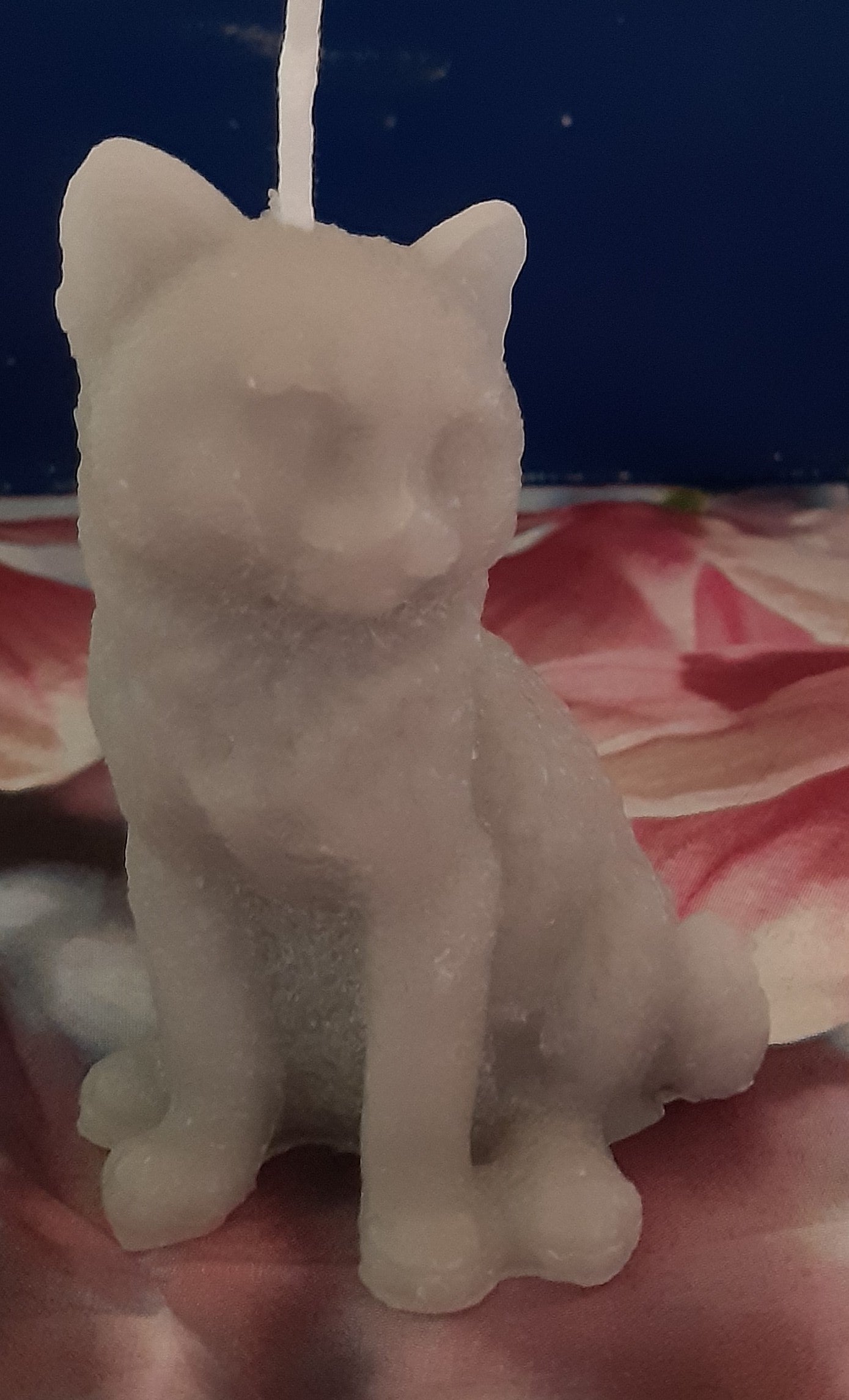 Kerzen Katze