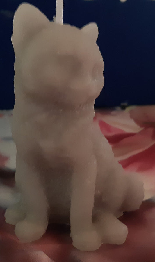 Kerzen Katze